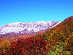 晩秋の大山　冠雪と紅葉を同時に愛でる