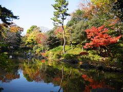 お昼休みに紅葉狩りへ＠有栖川宮記念公園