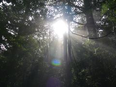 お亀石さんありがとう♪友と屋久島４日目(山編）