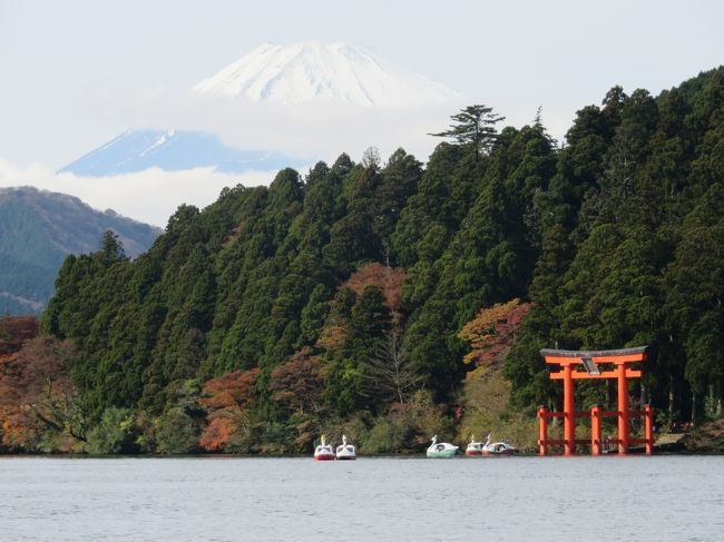 天気も良く、思い立って妻と二人で日帰りドライブ。<br />手頃な場所はやっぱり箱根になってしまいます。<br /><br />２年前にも同じ頃出かけてました。→http://4travel.jp/travelogue/10963802