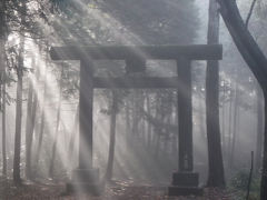 奥武蔵の里山ハイク　日和田山～物見山～スカリ山～ユガテ