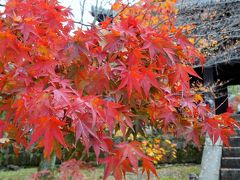 京都２泊３日～紅葉と街歩きと甘いもの～