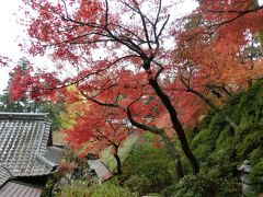 秋の九州・山口の旅（１）大興善寺の紅葉