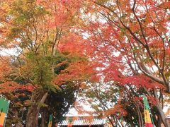 津山線沿線を歩く(2)法界院駅から玉柏駅