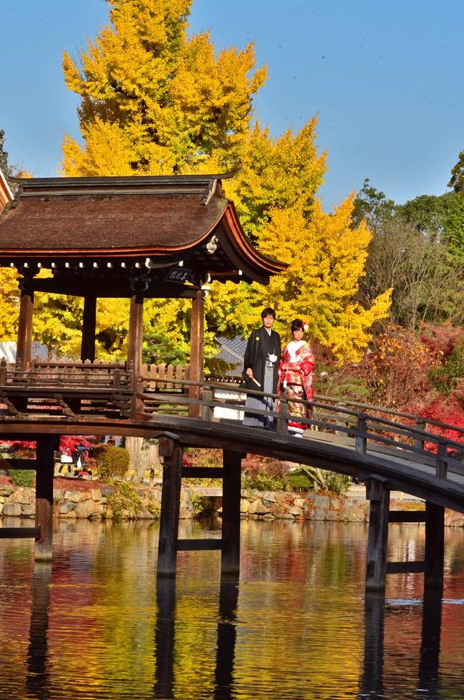 2016紅葉（3） 多治見・虎渓山永保寺の秋彩紅葉