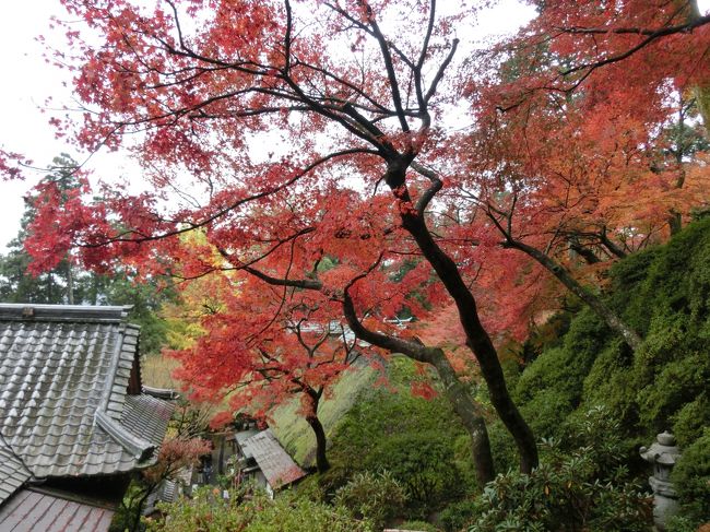 所用で博多を訪れることになったのですが、日程に余裕があったので、周辺の観光地を巡ってみることにしました。まずは、ちょうど紅葉が見頃を迎えていた、佐賀県基山町の大興善寺です。