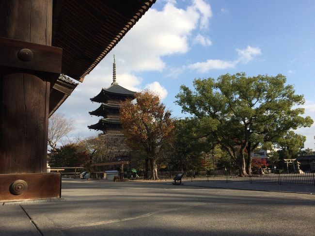 古都京都への関心が湧いてきた昨今、<br />京都市内の一番最初の訪問先に選んだのは東寺。<br />幼少期、下りの新幹線で 祖父の居る大阪に向かう度に、<br />京都を発車した直後の左側車窓に現れる五重塔の<br />視覚的インパクトが強烈だった。　<br />だから、私にとっては、東寺こそ 古都京都を象徴する存在。<br />今回の初拝観では、勿論、五重塔も目当てなのだが、<br />講堂内の立体曼荼羅に代表される彫像の数々に期待を寄せた。<br /><br />この秋（2016年秋期）の特別公開のラインナップは、<br />【宝物館】　　東寺の明王像「怒りと祈りの仏」<br />【小子房】　「堂本印象画伯障壁画」公開<br />【国宝五重塔】初層の特別拝観<br />【灌頂院】　　師資相承の密教儀式を執り行う道場公開<br />「紅葉ライトアップと夜間特別公開」 ・・・etc<br />（但し、観智院は 修復工事のため、公開休止中）<br />割と近場の京都とはいえ、貴重な訪問機会を活かしたいので、<br />これらの催しの期間が重なる日を選んで、今回の拝観となった。<br />