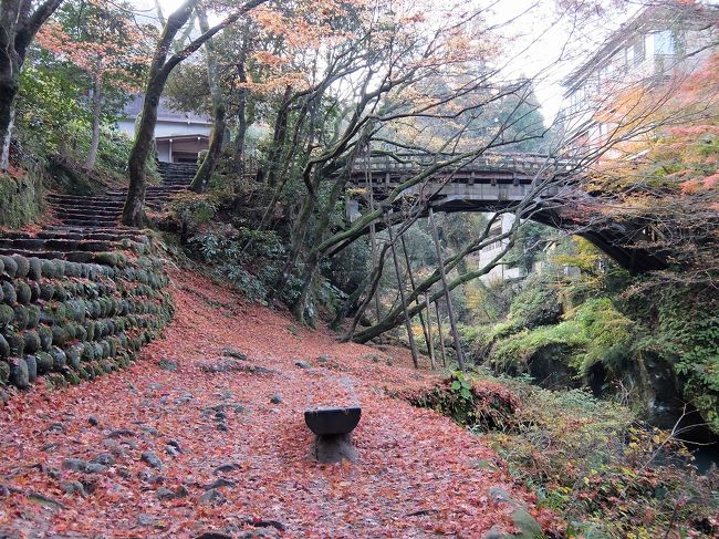 山中温泉に泊まって、山中座の山中節「四季の舞」と鶴選渓（かくせんけい）の紅葉を見て来ました。