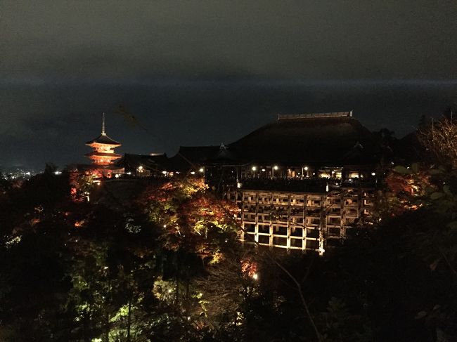 帰省のついでにちょっこと京都 知恩院で紅葉鑑賞 シナモンカフェでまったり ライトアップの激コミ清水寺散策編 二条 烏丸 河原町 京都 の旅行記 ブログ By クサポンさん フォートラベル