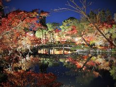 レクサスパスで行く！今が見頃、京都の紅葉◆東福寺・高台寺圓徳院・南禅寺・永観堂のライトアップ♪今年は王道を攻めてみました！