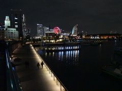 横浜　日本大通りと大桟橋付近の夜景とイチョウの黄葉を散策する。