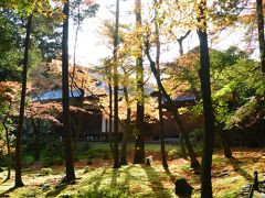 ２０１６年１１月　苔と紅葉を楽しむ京都日帰り女子旅♪「鈴虫寺」～「地蔵院」～「苔寺」へ（前編）～