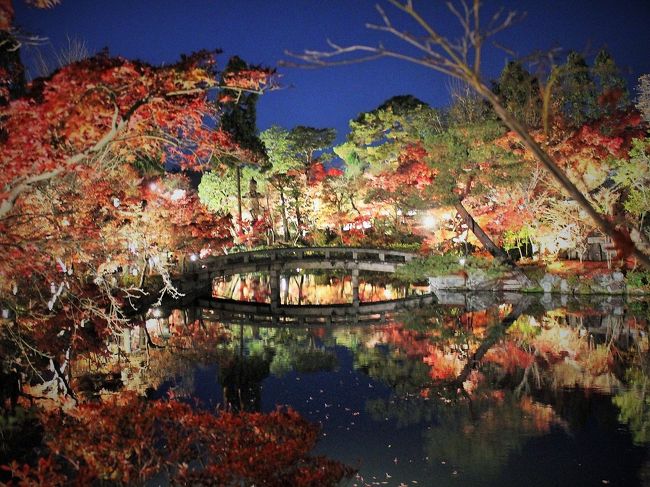 久し振りに京都の紅葉の王道を楽しんできました♪<br /><br />あまりの混雑ぶりに、数年前を最後に、東福寺や永観堂などは近寄りたくない～～というか、近寄れない～～っていう気持ちになっていた昨今。<br /><br />それが、今年は素敵なチケットで楽しんじゃおう。<br /><br />1年半前に、長年乗り継いだBMWからLEXUSに乗り変えた我が家。<br />そんなLEXUSのディーラーから素敵なチケットの案内が届きました。<br /><br />LEXUS京都・滋賀・奈良・和歌山の合同イベントで、<br />紅葉の美しいお寺さん8か所と、12か所のレストランから1か所を選んでお食事できるというチケットを販売してくれるらしい。<br /><br />価格は8000円なので、普通に8か所巡って、食事をしたとして、そんなにお得感があるわけではないんだけれど・・・<br /><br />何が良いって！！！<br /><br />それは、優先入場ができるから、どんなに並んでいたとしても、並ばなくても良いってことなの。<br /><br />そんなチケットを2人分購入したので、今年は王道紅葉巡りを楽しみたいと思います～♪<br /><br /><br />東福寺　　http://www.tofukuji.jp/<br />高台寺圓徳院　　http://www.kodaiji.com/entoku-in/idx.shtml<br />ポートランドロースティングコーヒーCRAFT　　https://www.nomo-radiant.jp/coffee/<br />南禅寺　　http://www.nanzen.net/<br />永観堂　　http://www.eikando.or.jp/