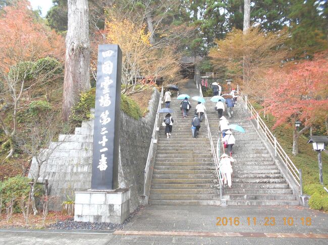 今年最後のお遍路の旅に行って来ました。ちょうど紅葉も見ごろの季節なので、いいお参りが出来ました。