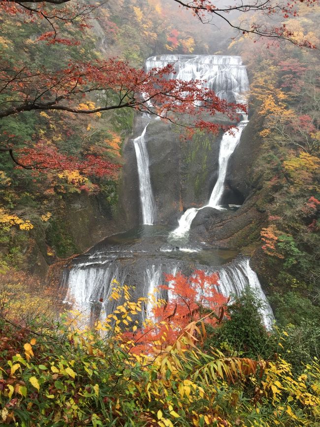 11/19（土）雨<br />袋田温泉　思い出浪漫館　懐かし館　アンティークルーム<br />9月早割にて　客室付露天風呂<br />袋田温泉の途中、笠間稲荷神社へ。うちの妻が最近御朱印にはまり寄り道。<br />ちょうど菊祭りがあり、色とりどりの何種類もの菊が見られ、いい時に立ち寄ったと思いながら参拝。店先のいなり寿司がおいしそうで、この近くにて昼食と思ったが、袋田温泉に行く途中の良さげな蕎麦屋に行きたいと思い、ここでは我慢し、袋田温泉向け出発。<br />ちょうど昼頃、道中　駐車上にかなりの台数が止まっている蕎麦屋を発見通り過ぎ、Uターンして蕎麦屋「山都」へ　妻は焼酎又は日本酒が飲みたいと思ていたが、残念ながらビールしかなくあえなくお茶で我慢。お酒類は持ち込みOKですとの注意書き。<br />せいろ（細麺）もり（太麺）があり、自分は「つけ鴨せいろ」妻は「豚肉つけせいろ」ものすごい細麺でのど越しがよく久しぶりにおいしいそばを味わった。<br /><br />15：00チェックイン　すぐに対応してくれ　<br />袋田の滝のライトアップ時間を確認したところ送迎バスがあるとのことでお願いし、453号室へ案内され、ウェルカムのお茶のサービスと品の良い和菓子あり、女性には、ブランドのコスメ付。部屋は思ったより広く開放的。源泉かけ流し付きの露天風呂付。デッキチェア有。渓流沿いの眺望のよい部屋。<br />しばらく休憩後、お願いしていた袋田の滝のライトアップへ17：30出発　運転手さんによると当日は雨の為、人が少なく今日はラッキーだとの旨。入場券もエレベーターも並ばずに入れ、数秒後、観瀑台へ　自然の素晴らしさとライトアップされた滝に癒され最高の時間を過ごすことが出来、ぜひお天道様が出ている滝を見てみたいと思い、明日の朝も行くことを決意する。18：20に送迎バスが迎えに来て宿へ<br />19：30から季節の料理の夕食、個室に仕切られたテーブルに案内されウーロンハイで乾杯。（痛風でビールをやめているため）<br />お品書きが添えられ全14品の料理を堪能。種類とボリュームがあり食べきれなかった。常陸牛は柔らかく適度に油があり旨かったが、料理の順番で白飯と食べれなかったのが心残り、デザートのリンゴのコンフィは最高においしかった。<br /><br />翌朝7：00過ぎ朝食バイキングへ、種類も多く、自分はなかなかの感じでいたが、妻から焼きたての目玉焼きとかオムレツとかないのでフツーと駄目だし、自分にとっては、和食の惣菜が多く、大子町コシヒカリはとても美味しく満足でした。<br />今回は1泊で残念でしたが、今度はゆっくり2～3泊したくなる宿でした。<br /><br />袋田の滝が9：00からと聞いていたので、9：00にチェックアウト。昨晩確認した滝にいちばん近い駐車場へ止めようと思ったがすでに紅葉狩りの観光客でごった返しで驚き、当初の想定より遠くなってしまったが、500円（1日）の料金を払い駐車。入場券を買い、エレベーター乗り場に行くとすでに行列が？・・・・えっ、9：00にオープンではないの？<br />エレベーターに並んでいる最中、もうすでに見終わった観光客がおりてくる。何時から始まったのか？30分くらいで観望台頂上へ<br />残念ながらお天道様は現れず、ガス掛っているが、昨晩見た時と違い紅葉の色、鮮やかな景色と美味しい空気に癒され感動。帰りは、つり橋を渡り帰路へ。<br />帰路の途中　リンゴ　「こうとく」を購入。蜜がつまり美味かった。<br /><br />帰り道118号線　常陸大宮にて　やまがた宿芋煮会（11/20）開催されていて、下りの道は大渋滞、永遠と車の列が連なっていました。自分たちは上り方面ですのでスムーズに帰路に付。1日遅かったらと思うと　ぞっ～～～～～～～～～～～<br />