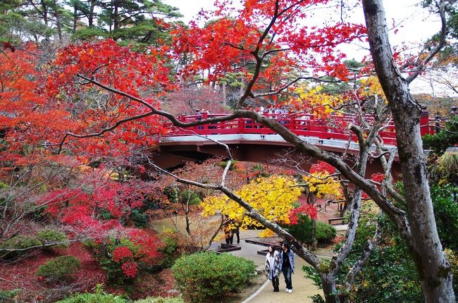 弥彦村（弥彦公園もみじ谷，弥彦山，弥彦神社），柏崎市（松雲山荘）へ行ってきました。