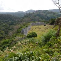 秋の沖縄・・世界遺産「城」＋アルファの旅♪２日目①・・備瀬のフクギ並木と今帰仁城。