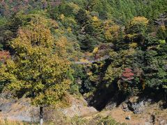 紅葉の大井川鐵道と接岨峡の旅 2016（静岡）