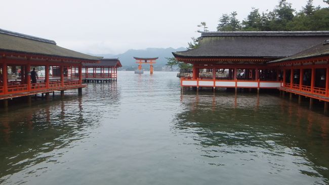 同伴者のたっての希望である宮島にやっと来ることができました。何年前から訴えていただろう。<br />北海道への特典航空券の帰りを広島空港にしてわざわざ大回りでやってきました。