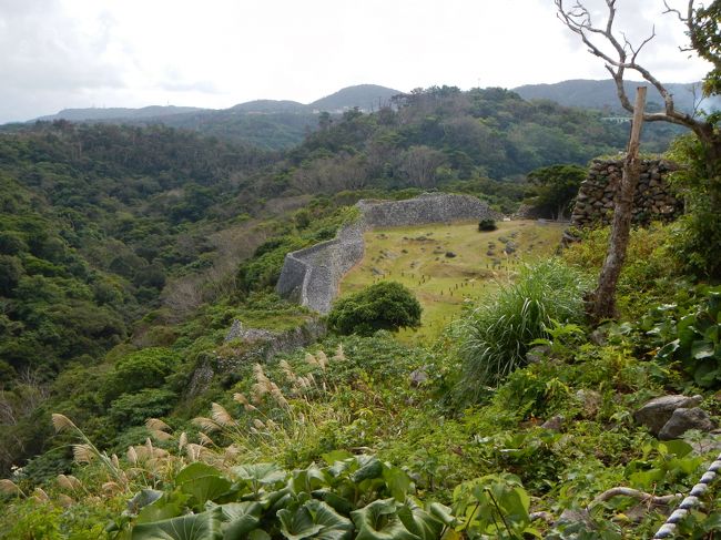 秋の沖縄・・世界遺産「城」＋アルファの旅♪２日目①・・備瀬のフクギ並木と今帰仁城。