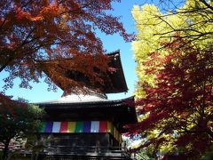 鑁阿寺（ばんなじ）の紅葉_2016_きれいな紅葉を楽しめました。（栃木県・足利市）