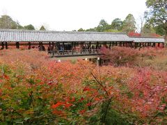 紅葉の人気スポット京都の東福寺訪問！（再修正版）