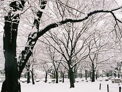 雪の公園　　ＩＮ　　若草公園