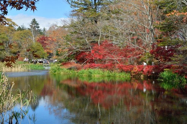 温泉治療のつもりが、やっぱり紅葉には勝てません(^_^;、