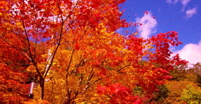 今年の紅葉も綺麗でした（塩原～上三依）