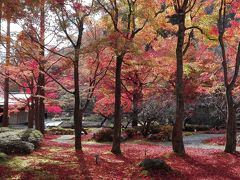 「鷹峯・大徳寺」　自転車で巡る京都絶景紅葉の旅