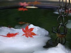 初雪と紅葉を楽しみたくて鎌倉へ