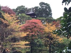 椿山荘と紅葉