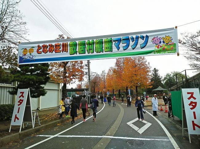 マラソン 一週前 自転車