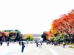 クラーナハ展、上野公園の紅葉