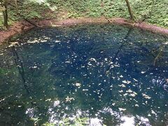 ちいさな鉄道旅 リゾートしらかみ