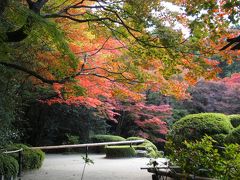 秋の京都ひとり旅【２】　一日目・叡山電鉄で巡る八大神社・詩仙堂・田中神社・河合神社