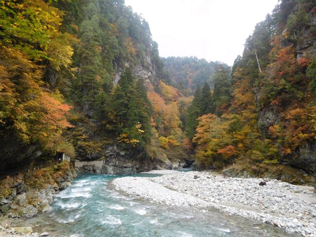 3年前の秋の紅葉シーズンに北陸に行きましたが、今回は北陸新幹線に乗るるため、そして紅葉の白川郷と黒部峡谷を満喫するために北陸・飛騨へ行きました。<br /><br />---------------------------------------------------------------<br />スケジュール<br /><br />  11月3日　自宅－大宮駅－（北陸新幹線）金沢駅　金沢観光－（バス）五箇山菅沼　五箇山菅沼観光－（バス）白川郷　<br />　　　　　 白川郷観光　[白川郷泊]<br />　11月4日　白川郷観光－（バス）高山駅－（列車）越中八尾駅　越中八尾観光－（列車）富山駅　富山観光　[富山泊]<br />　11月5日　富山駅－（列車）雨晴駅　雨晴海岸観光－（列車）氷見駅　氷見観光－（列車）高岡駅　高岡観光－<br />　　　　　（列車）宇奈月温泉駅　[宇奈月温泉泊]　<br />★11月6日　宇奈月駅－（トロッコ列車）欅平　欅平周辺観光－（トロッコ列車）宇奈月駅　宇奈月温泉駅－<br />　　　　　 （列車）黒部宇奈月温泉駅－（北陸新幹線）大宮駅－自宅<br />