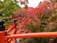 京都の紅葉①　北野天満宮御土居と無鄰菴