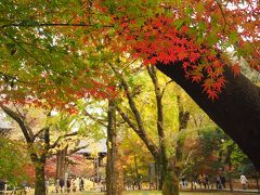 紅葉の九品仏浄真寺　     【2016.11.26】