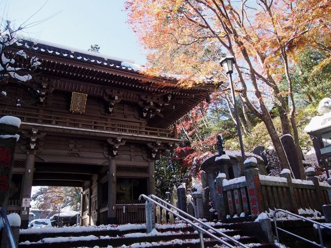 11月下旬･･･東京近郊の紅葉も見頃を迎え休日にはどこの紅葉スポットも大賑わい。<br />私も先週は茨城の筑波山で紅葉＆札所巡りを楽しんできた。<br /><br />今度はもう少し近場で･･･まだ行った事の無い紅葉の名所や東京の紅葉巡りなんかも<br />してみたいな～。出来ればあと２～３ヶ所。しかしながら今年は見頃が遅れたり<br />少し早まったりと各名所の見頃が見事にぶつかってしまった様子。<br /><br />しかも出掛けられる時はお天気が悪かったり･･･快晴の時は出掛けられずと<br />桜よりは見頃は長い紅葉とは言えなかなかタイミングが計れずにいた。<br />そんな時･･･東京に11月の降雪としては54年ぶりの初雪が降った。<br />なんと積雪に関しては観測史上初めてだったんだとか･･･。思いがけず東京で<br />紅葉と雪が同時に眺められると言う奇跡的な状況になってしまった。<br /><br />･･･とは言え東京都心の積雪は２ｃｍ程度とか。水分を多く含んだ雪は夕方には<br />ずいぶん溶け翌日は晴れ予報が出ているので早々と溶けてしまうだろう。<br />それに対し、私が住んでいる東京の多摩地域。我が家周辺はまさに大雪だった。<br />一時的には10ｃｍくらいは絶対に積もっていたはず。溶ける勢いも早くて<br />道路の雪は溶けたけど翌日になっても周りの雪が溶ける事は絶対にないだろう。<br /><br />大雪の翌日は半年に１度の膝の通院予定が午後から入っていて都心まで出る<br />予定がある。元々病院ついでに都内の紅葉巡りをする予定だったけど･･･<br />奇跡的な「紅葉と雪」と言うこの状況を写真に撮ってみたい！<br />それが翌日でも可能な紅葉の名所と言えば･･･秩父か高尾山辺りかな？<br /><br />お昼までに病院まで移動する事を考えると･･･「高尾山」がベストか。<br />時間的に頂上までは無理でも麓の様子だけでも見に行くか･･･<br />そんな事で朝から満員列車に揺られ高尾山まで行って来ました。<br />やっぱりそこは我が家周辺と同様に雪国だった。<br /><br />今回は「午前の部」「午後の部」と分けて東京の紅葉風景をお届けします～。<br />「午前の部」は、雪と紅葉の高尾山。「午後の部」は「紅葉」ならぬ「黄葉」です！<br /><br />&lt;東京紅葉散歩・１＞54年ぶりの奇跡・雪と紅葉の高尾山<br />http://4travel.jp/travelogue/11192681