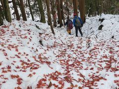 山は不思議な名前が多い・・・御正体山に登って来ました。