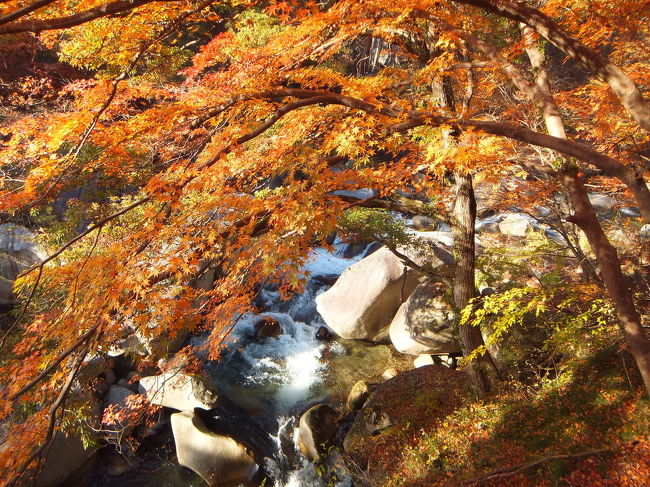 今年の11月は慌ただしく、紅葉のこの字も感じぬまま冬を迎えそうだったので、晩秋の山梨方面へ。昇仙峡はまだ見れると風の噂で聞いていたのですが、果たして…