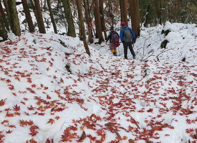 同級生4人で結成した、還暦（だった）登山隊。<br />今月は山梨県の御正体山1682mに行って来ました。