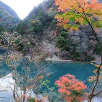 追憶の大井川鐵道★三世代でいく紅葉の寸又峡