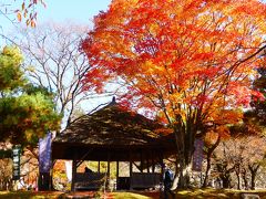 2016.11　紅葉が見ごろの小諸・懐古園