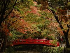 小国神社 紅葉散策 2016