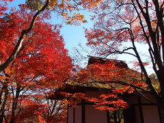 秋の京都嵐山散策
