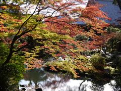 京都紅葉第二弾　京都御所・金戒光明寺・真如堂