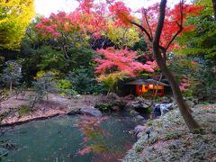 紅葉の六義園　幻想的なライトアップと　近くの人気パティスリーめぐり