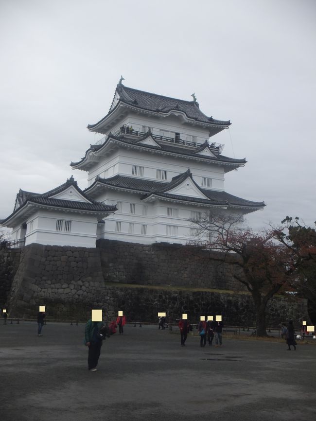 小田急ロマンスカーに乗って小田原城に行ってきました。